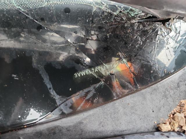 Volkswagen Beetle Image 12