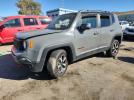 Jeep Renegade Trailhawk Image 1