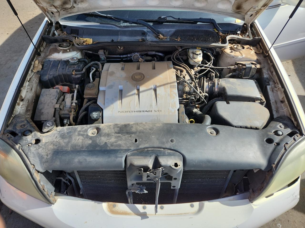 Cadillac DeVille Image 7