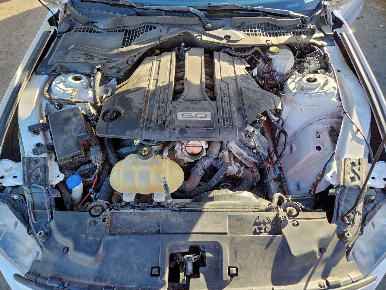 Ford Mustang Gt Image 10