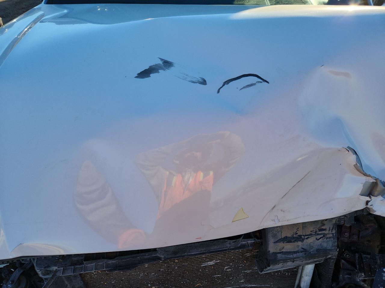 Hyundai PALISADE Limited Image 9