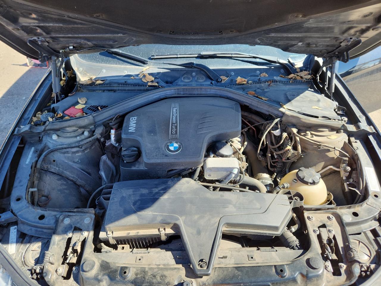 BMW 3 Series Xi Image 6