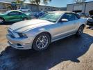 Ford Mustang Image 1