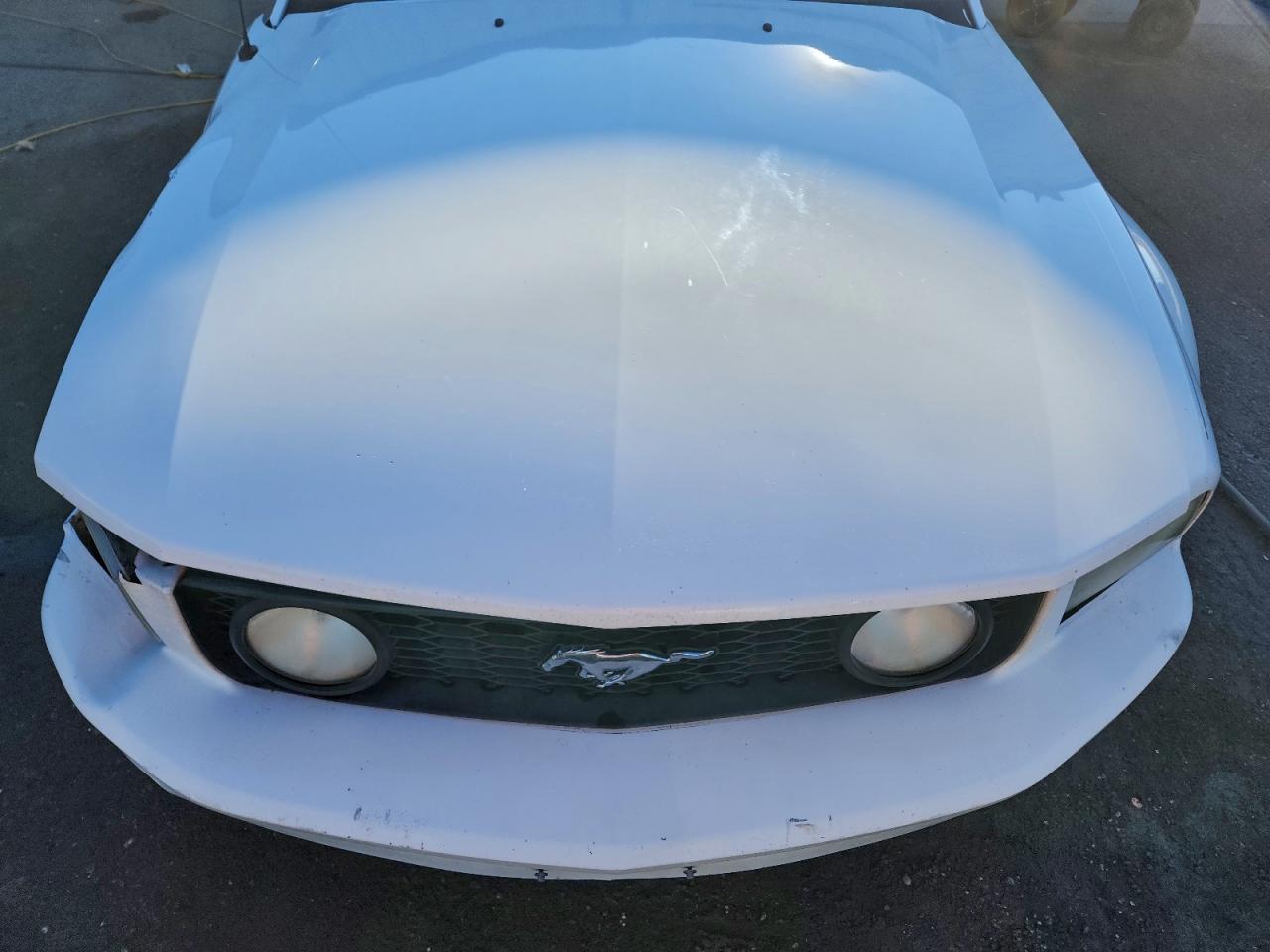 Ford Mustang Gt Image 11