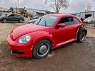 Volkswagen Beetle Image 1
