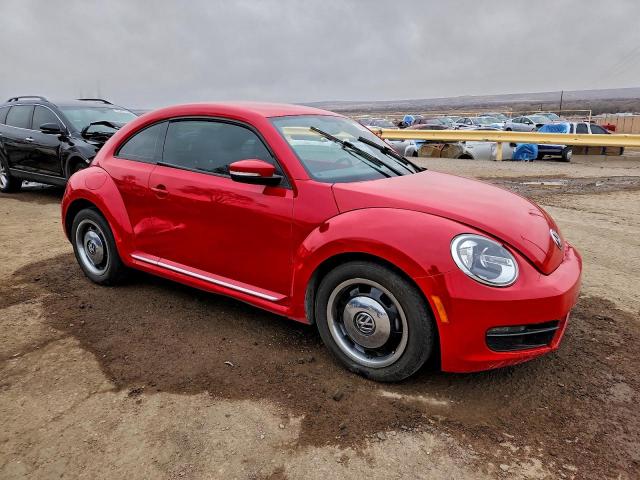 Volkswagen Beetle Image 2