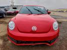 Volkswagen Beetle Image 6