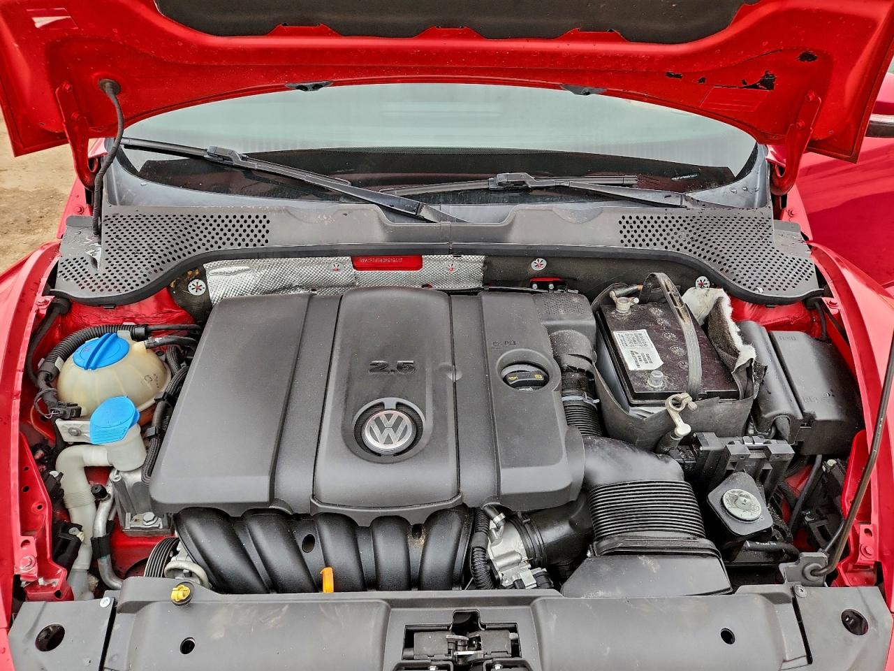 Volkswagen Beetle Image 7