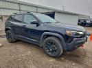 Jeep Cherokee Trailhawk Image 2